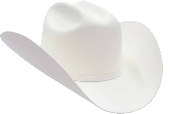 SEO White Hat vs. Black Hat - Savvy Dealer